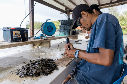 CROISIERE TAHITI - ILES DE LA SOCIETE