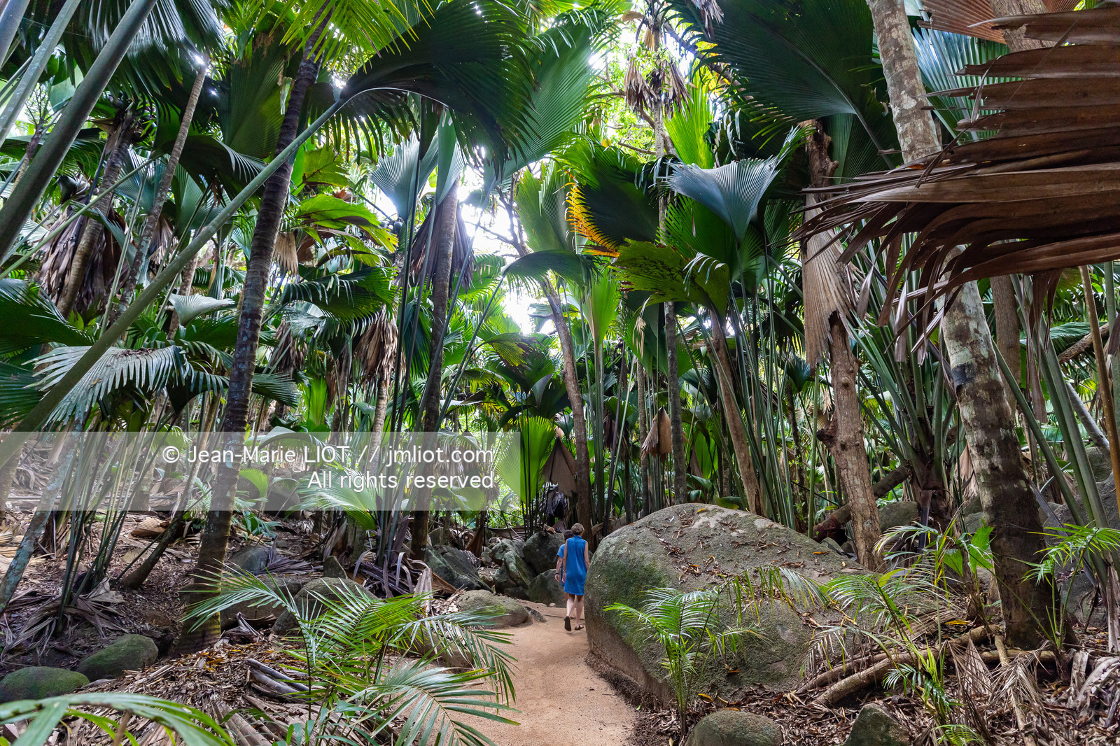 CROISIERE AUX ILES SEYCHELLES