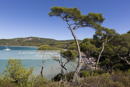 Aout 2015 mouillage à Porquerolles, découverte de l'île..Photos © JEAN-MARIE LIOT - www.jmliot.com