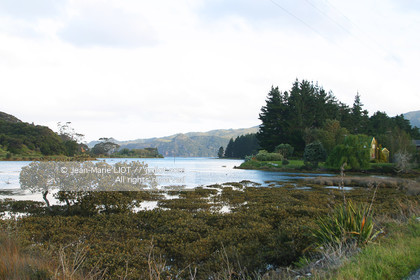 NOUVELLE ZELANDE - COROMANDEL