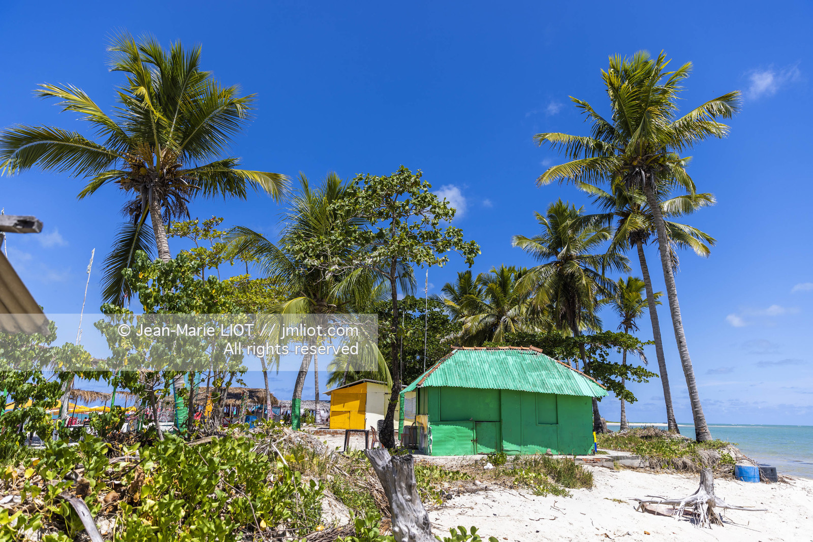 GLOBE40 - ILE DE COROA DO AVIAO