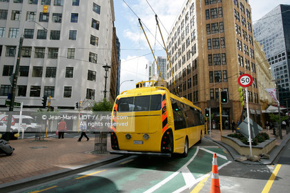 WELLINGTON 2008