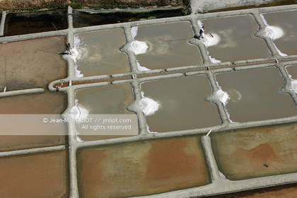 TOUR DE FRANCE A LA VOILE 2006