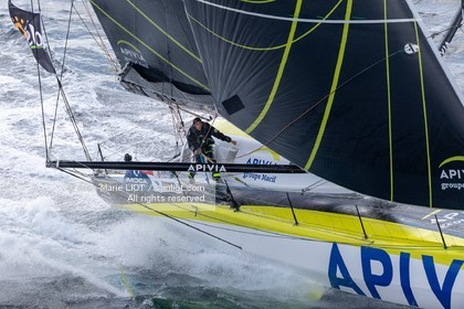 CHARLIE DALIN 2020 - APIVIA