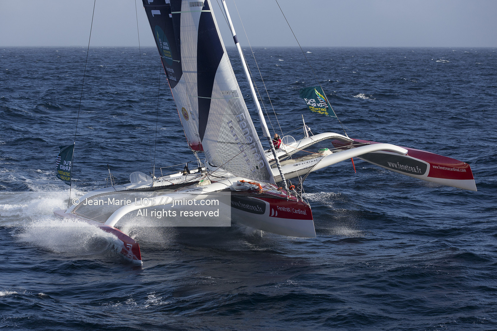 ROUTE DU RHUM 2014 - MULTI 50 FENETREA CARDINAL - ERWAN LE ROUX