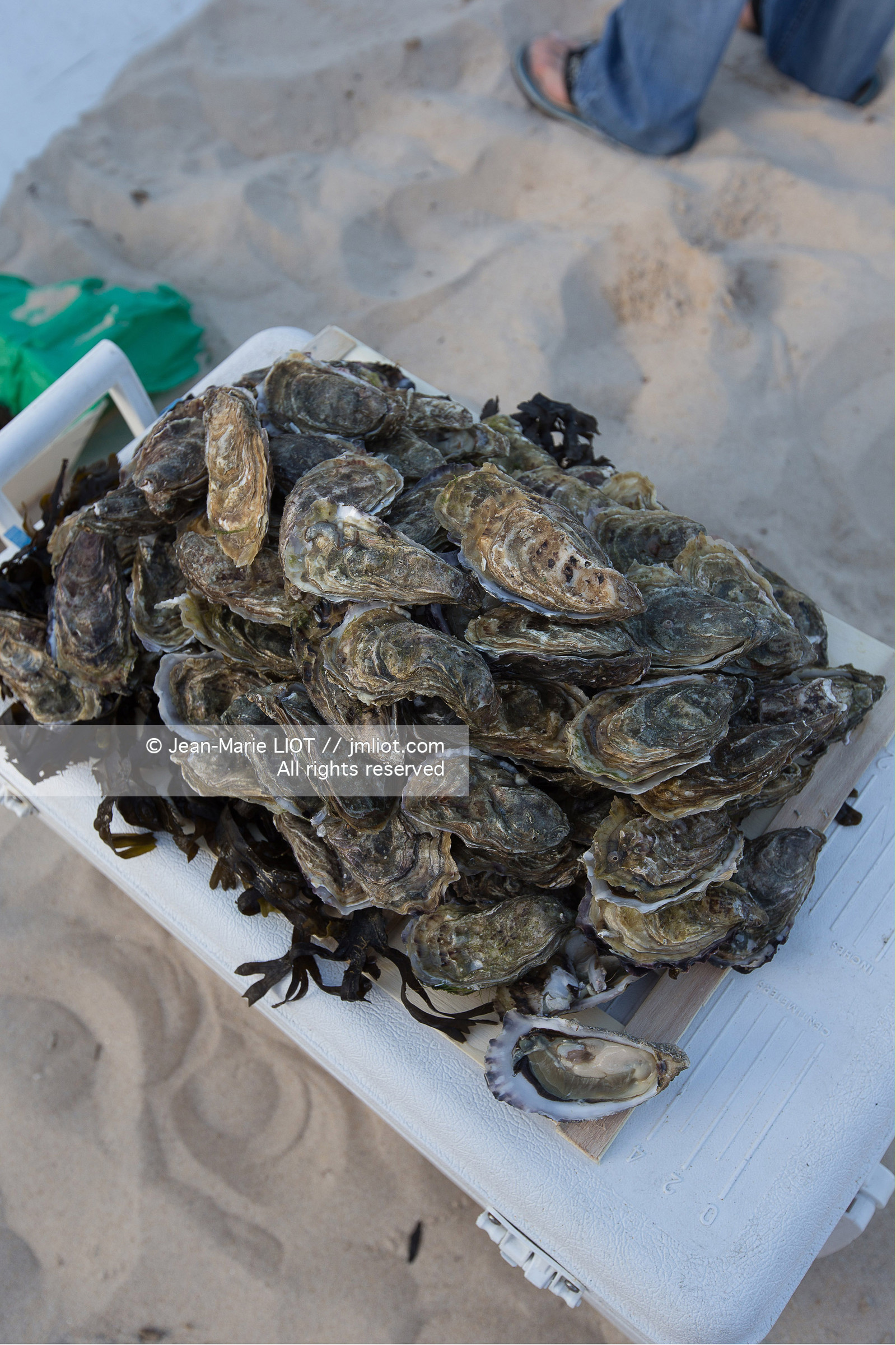 VOILES ET VOILIERS - RAID CATA EN BRETAGNE SUD