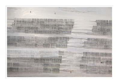 Mareé du Siècle.Vue aérienne des Bouchots de la Baie de Cancale..© Jean-Marie Liot.