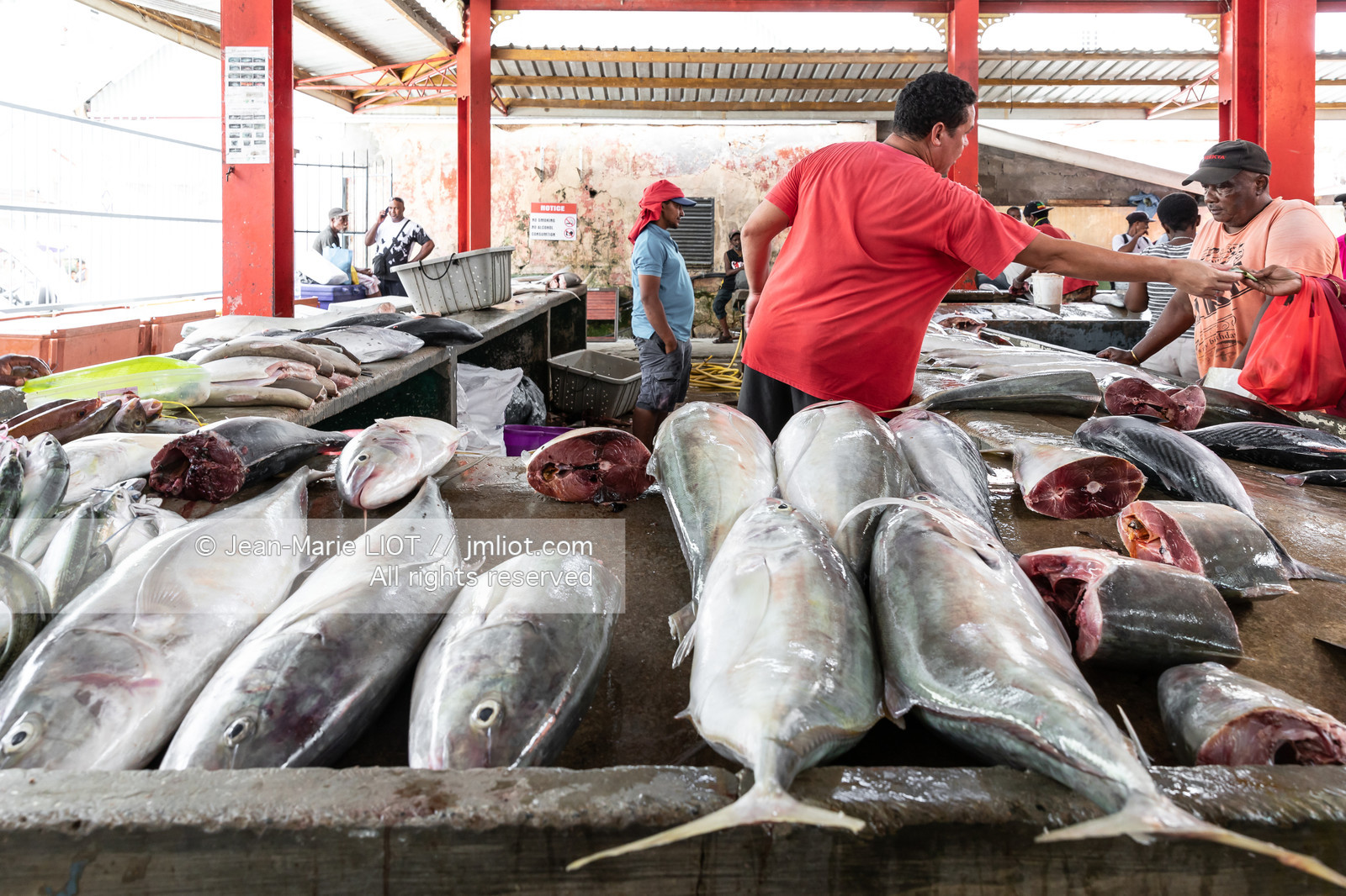 CROISIERE AUX ILES SEYCHELLES