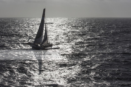 ROUTE DU RHUM 2014 - MULTI 50 FENETREA CARDINAL - ERWAN LE ROUX
