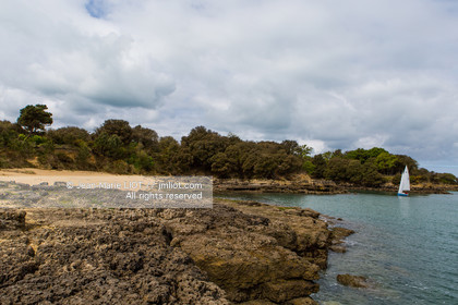 VOILES ET VOILIERS 2016 - LES FORTS DE CHARENTE, BAIE DE LA ROCHELLE EN BIHAN 650