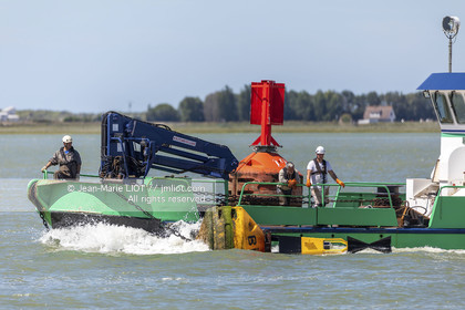 BAIE DE SOMME - 2020