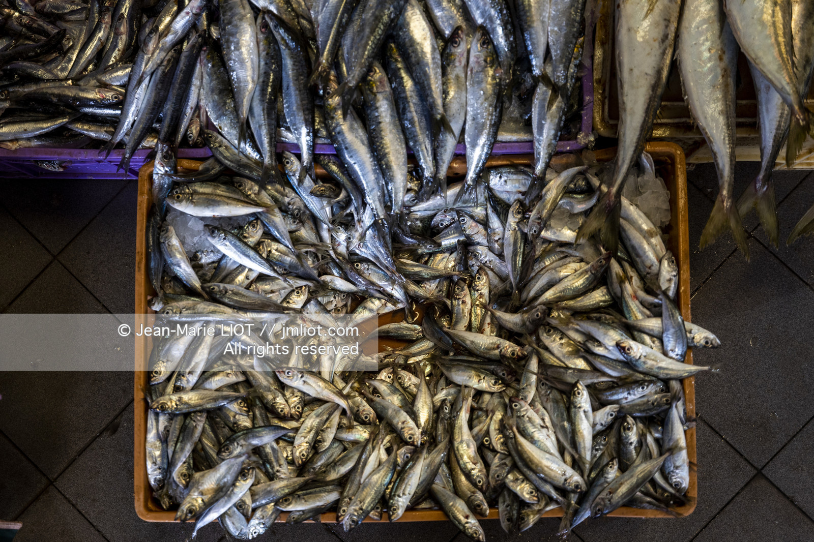 MAROC - TANGER - MEDINA