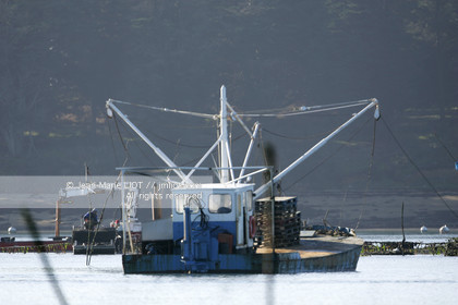 Ostreiculture dans les parcs à huitres du Golfe de Neptune. .photo © JEAN-MARIE LIOT.