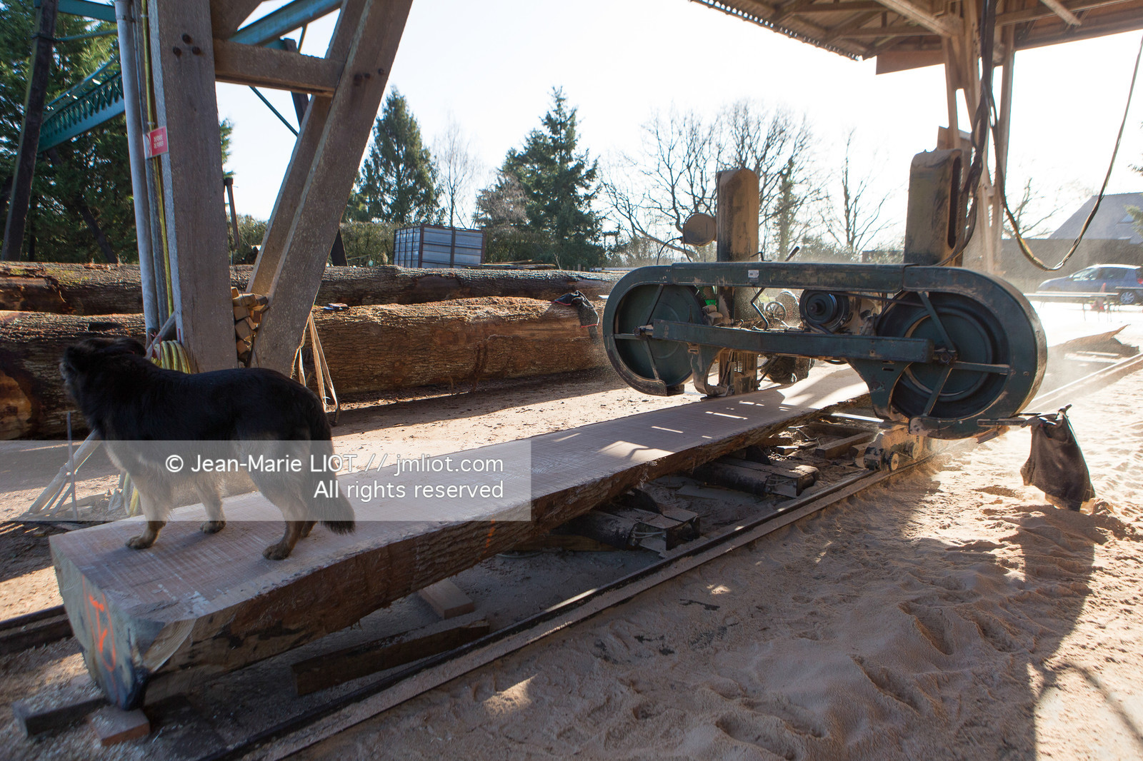 SCIERIE - DECOUPE DE BOIS