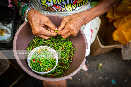 SALVADOR DE BAHIA-FOIRE DE SAO JOAQUIM