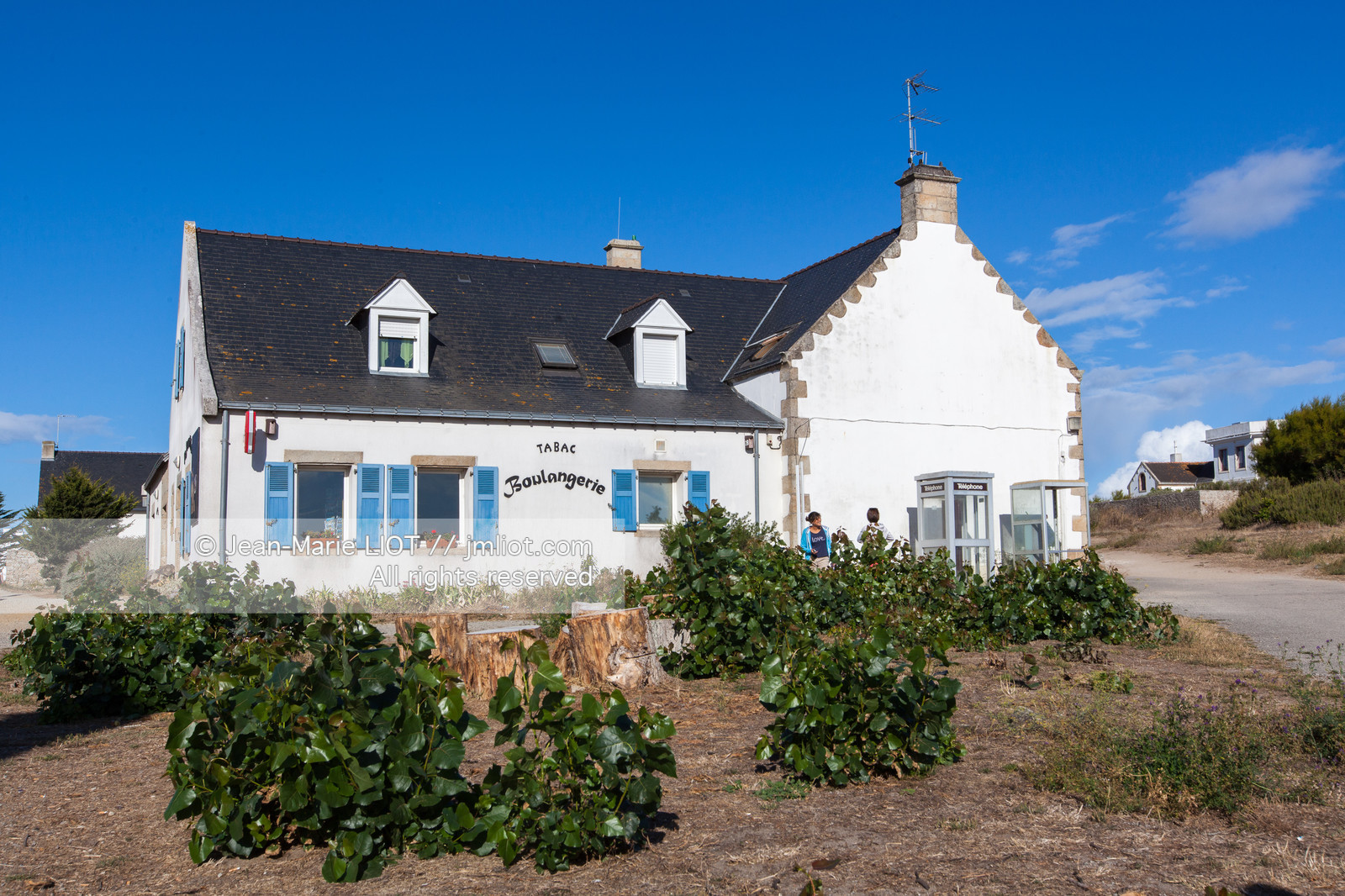 Bretange, Ile d'Hoëdic