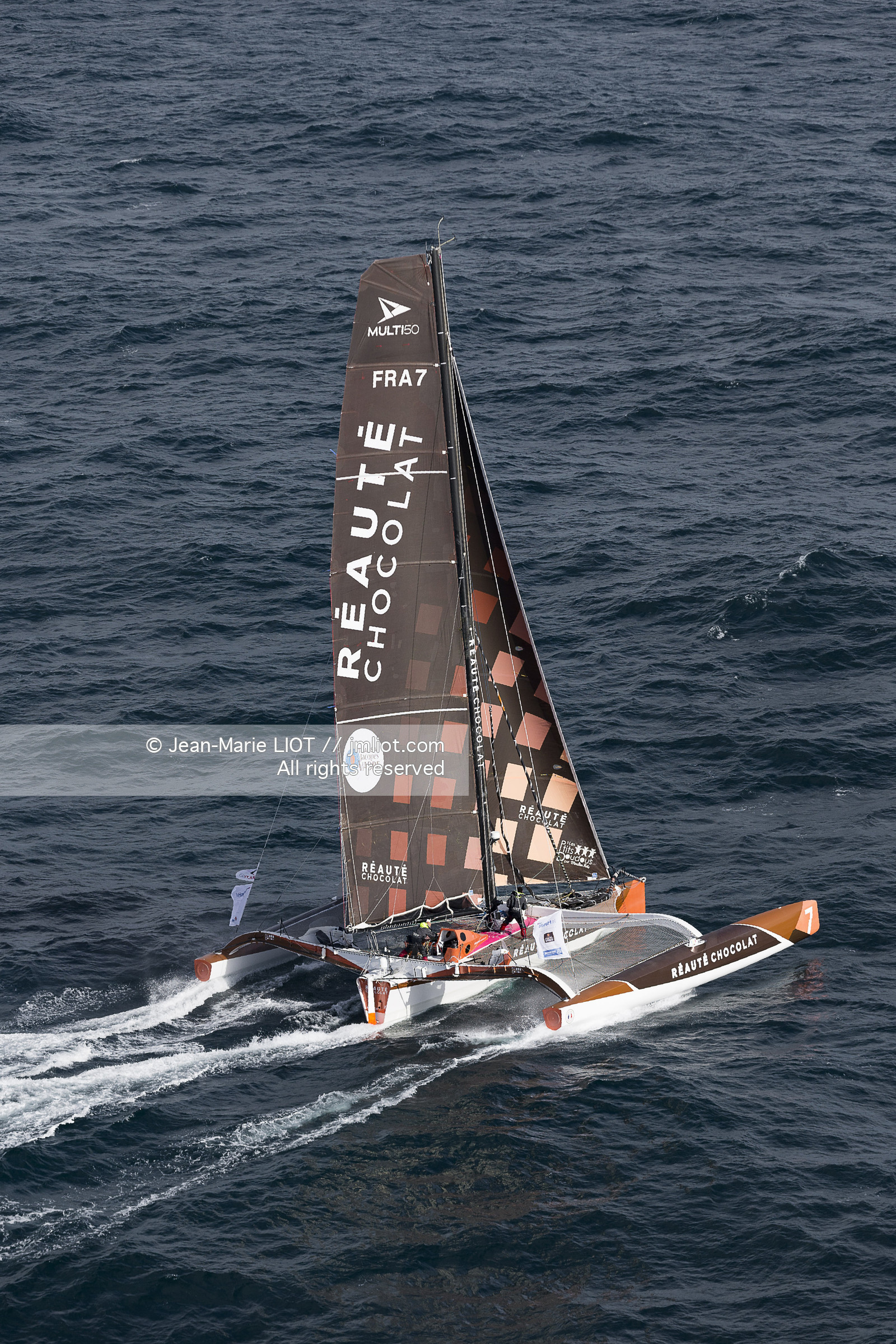SAILING - TRANSAT JACQUES VABRE 2017 - ARMEL TRIPON
