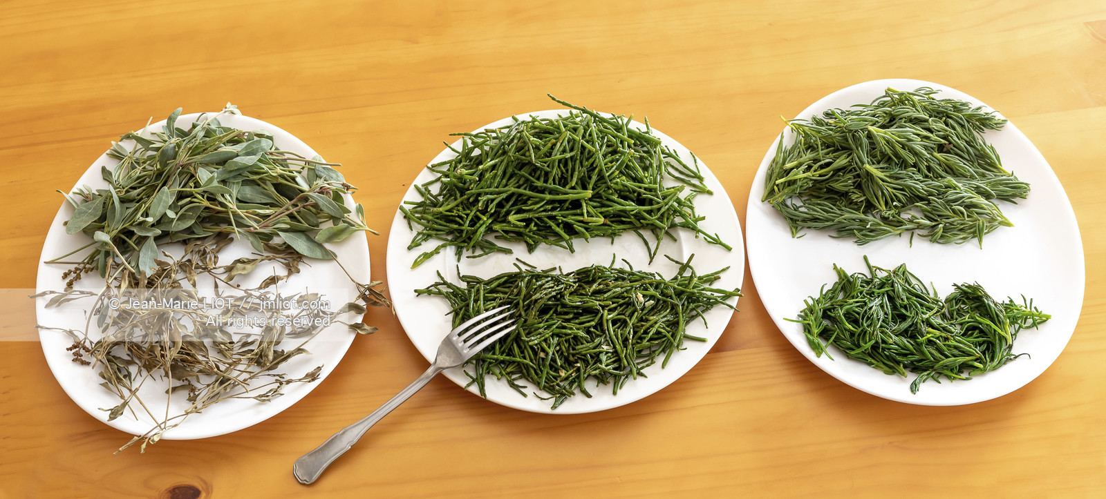 BAIE DE SOMME - 2020