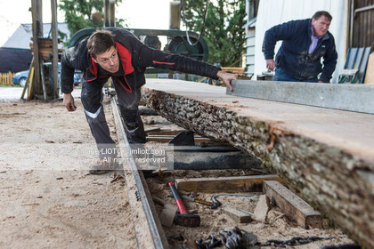 SCIERIE - DECOUPE DE BOIS