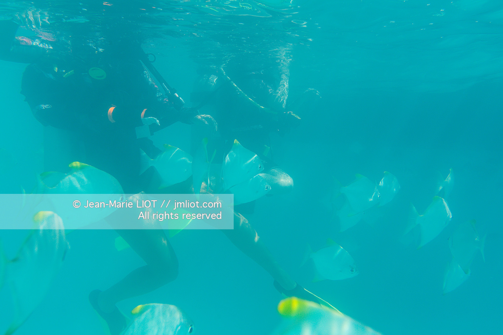 CROISIERE AUX ILES SEYCHELLES