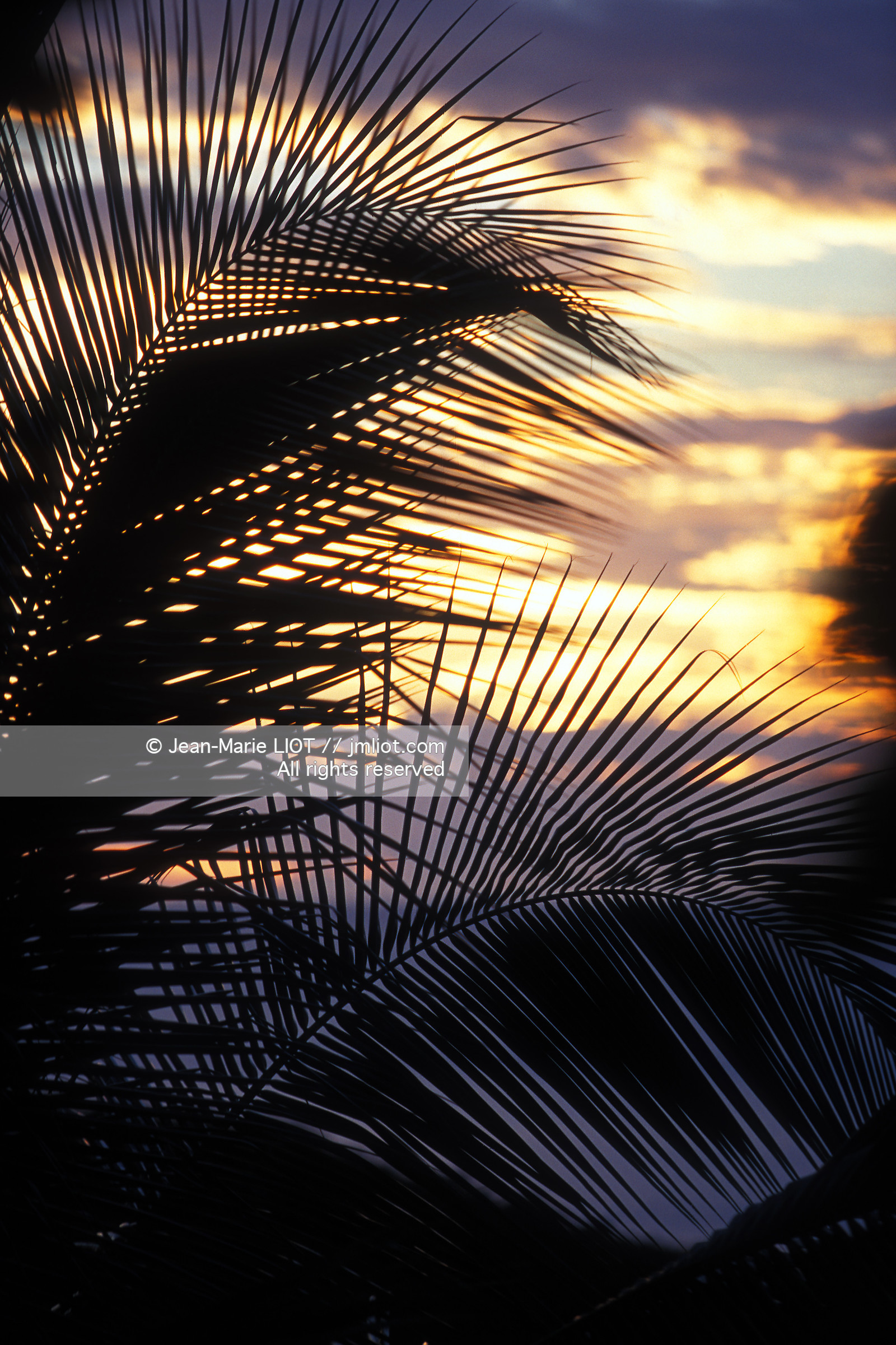 PHOTO ¬© JEAN-MARIE LIOT, GUADELOUPE.