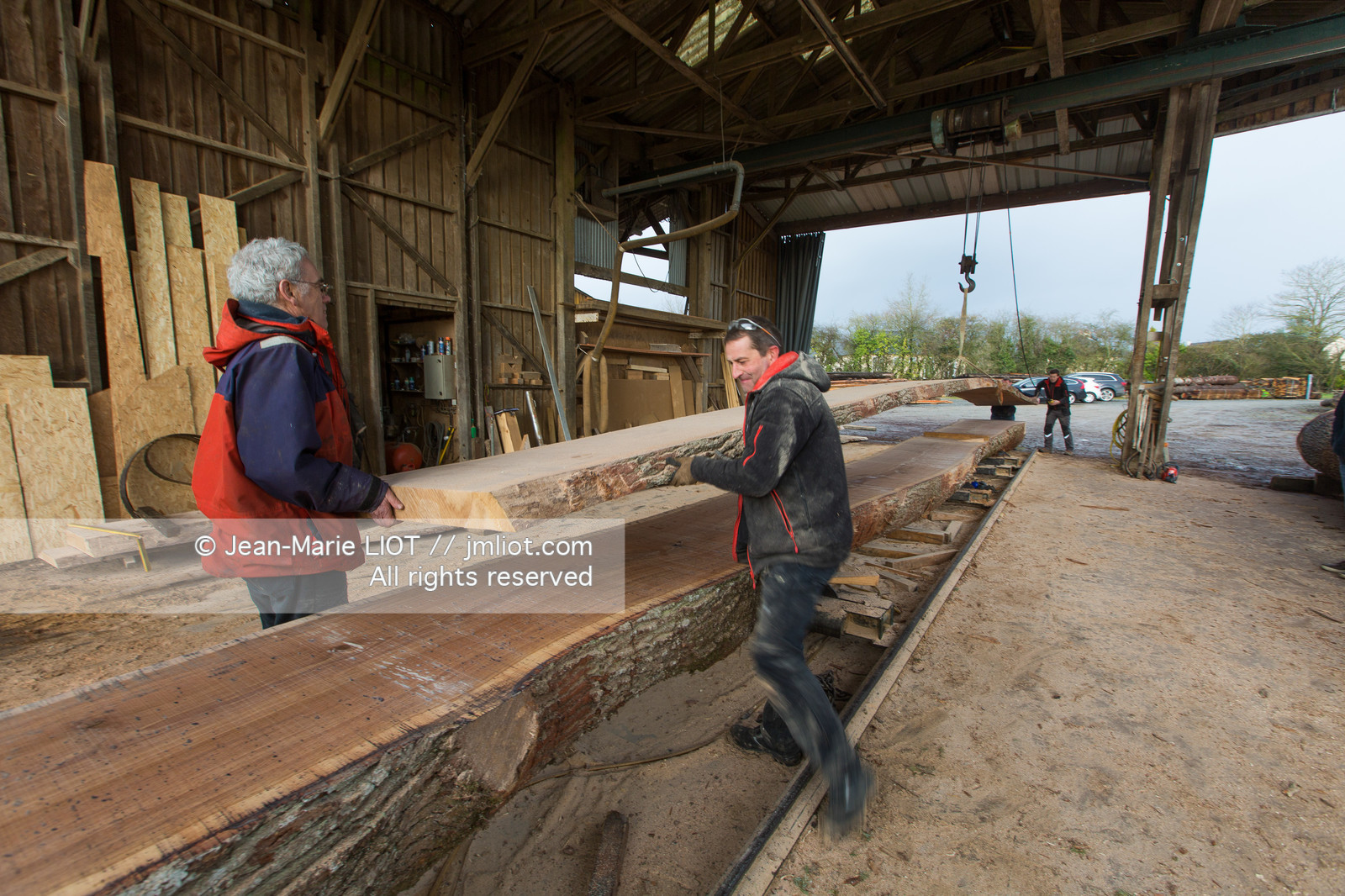 SCIERIE - DECOUPE DE BOIS