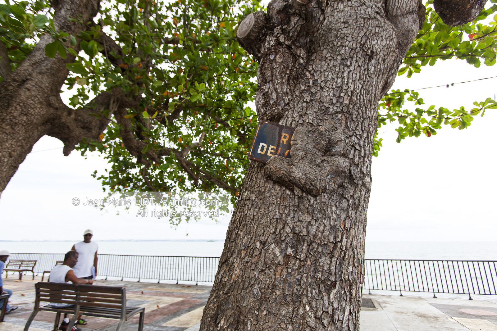 La Guadeloupe est un departement français d'Outre Mer situe dans l'archipel des Antilles. L'ile est bordee d'une part par la Mer des Caraïbes et l'Ocean Atlantique..La guadeloupe est composé de deux îles: la Grande-Terre et la Basse-Terre..Photo © Jean-Marie Liot.