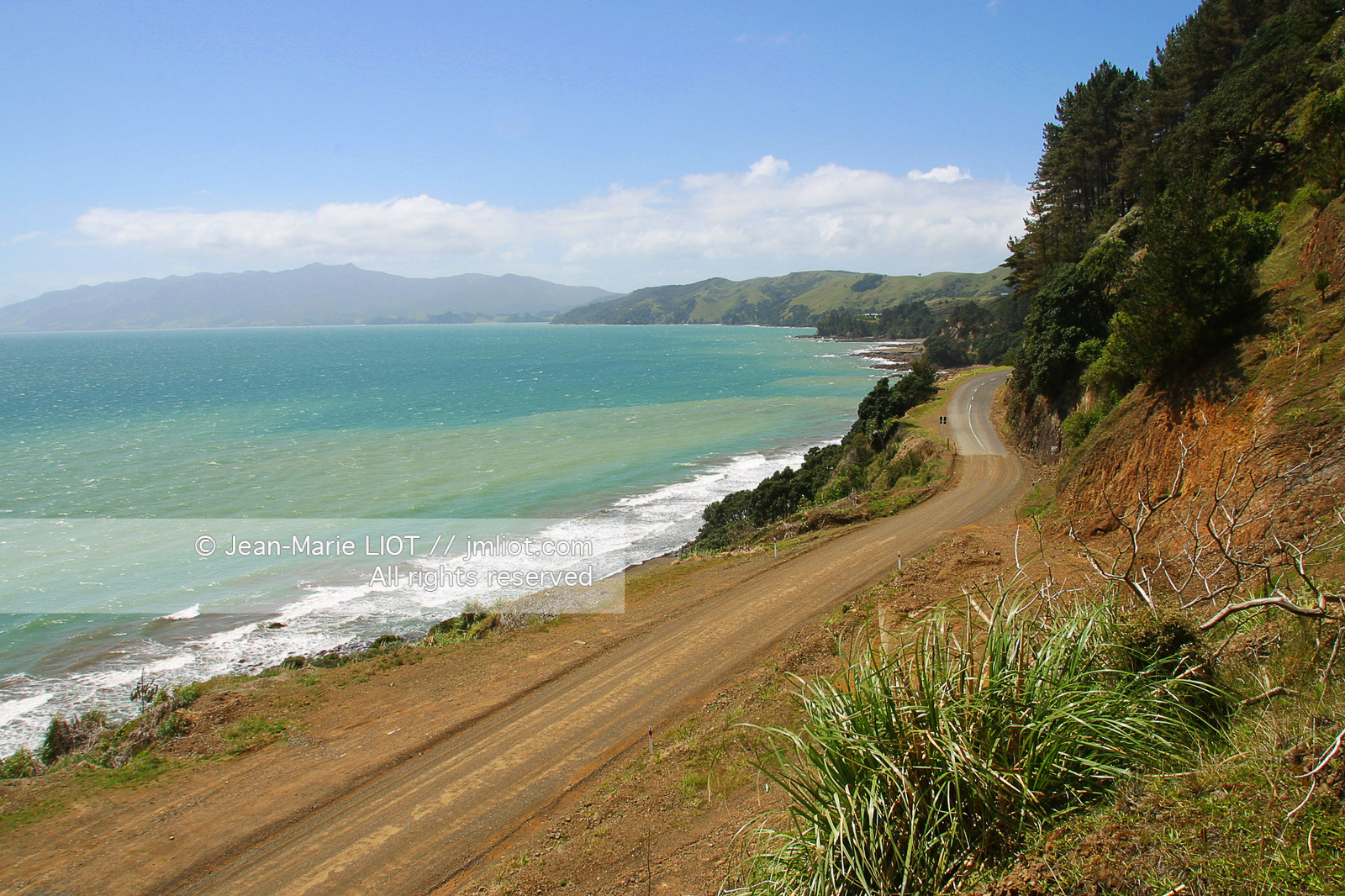 NOUVELLE ZELANDE - COROMANDEL