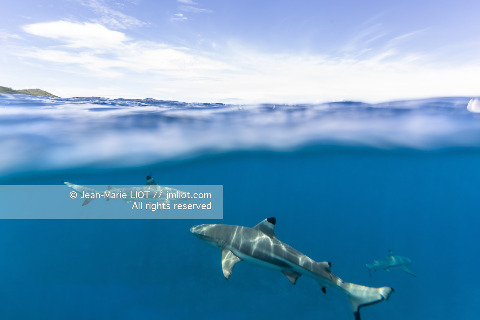 CROISIERE TAHITI - ILES DE LA SOCIETE