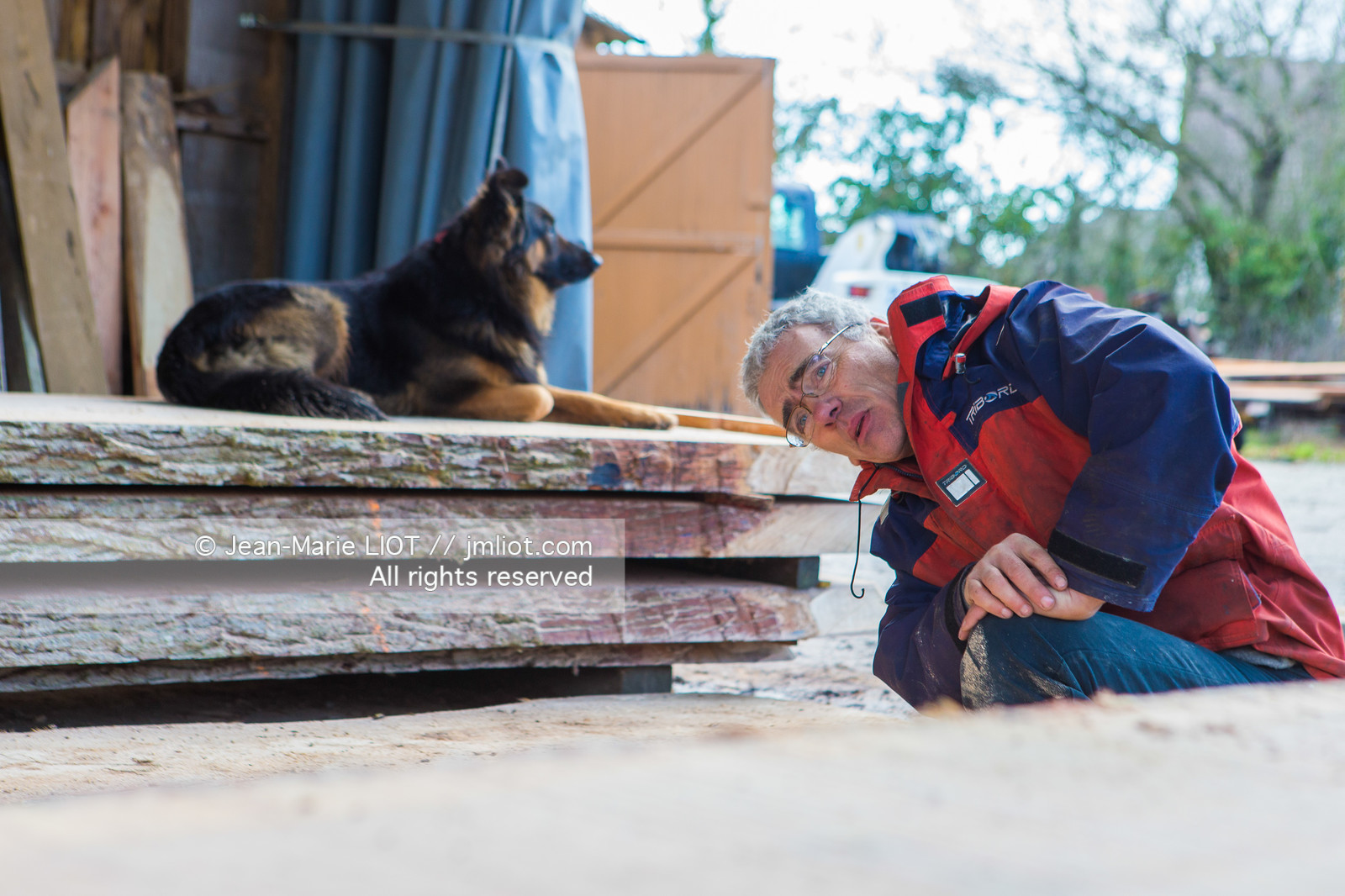 SCIERIE - DECOUPE DE BOIS