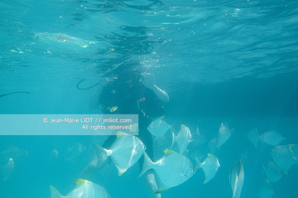 CROISIERE AUX ILES SEYCHELLES