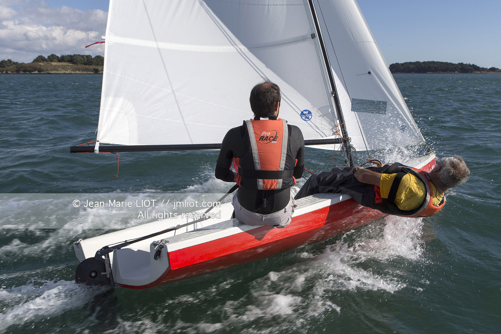 L'ALBATROS - JEAN-MARIE FINOT