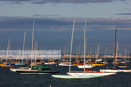 COWES WEEK 2009
