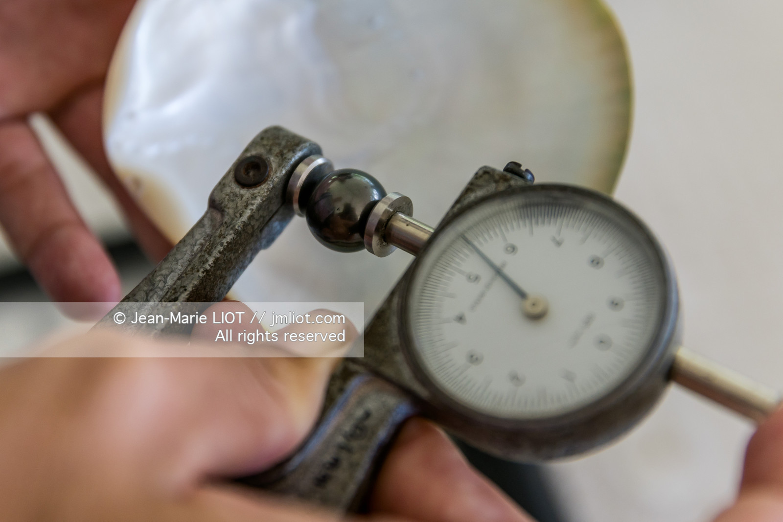 CROISIERE TAHITI - ILES DE LA SOCIETE