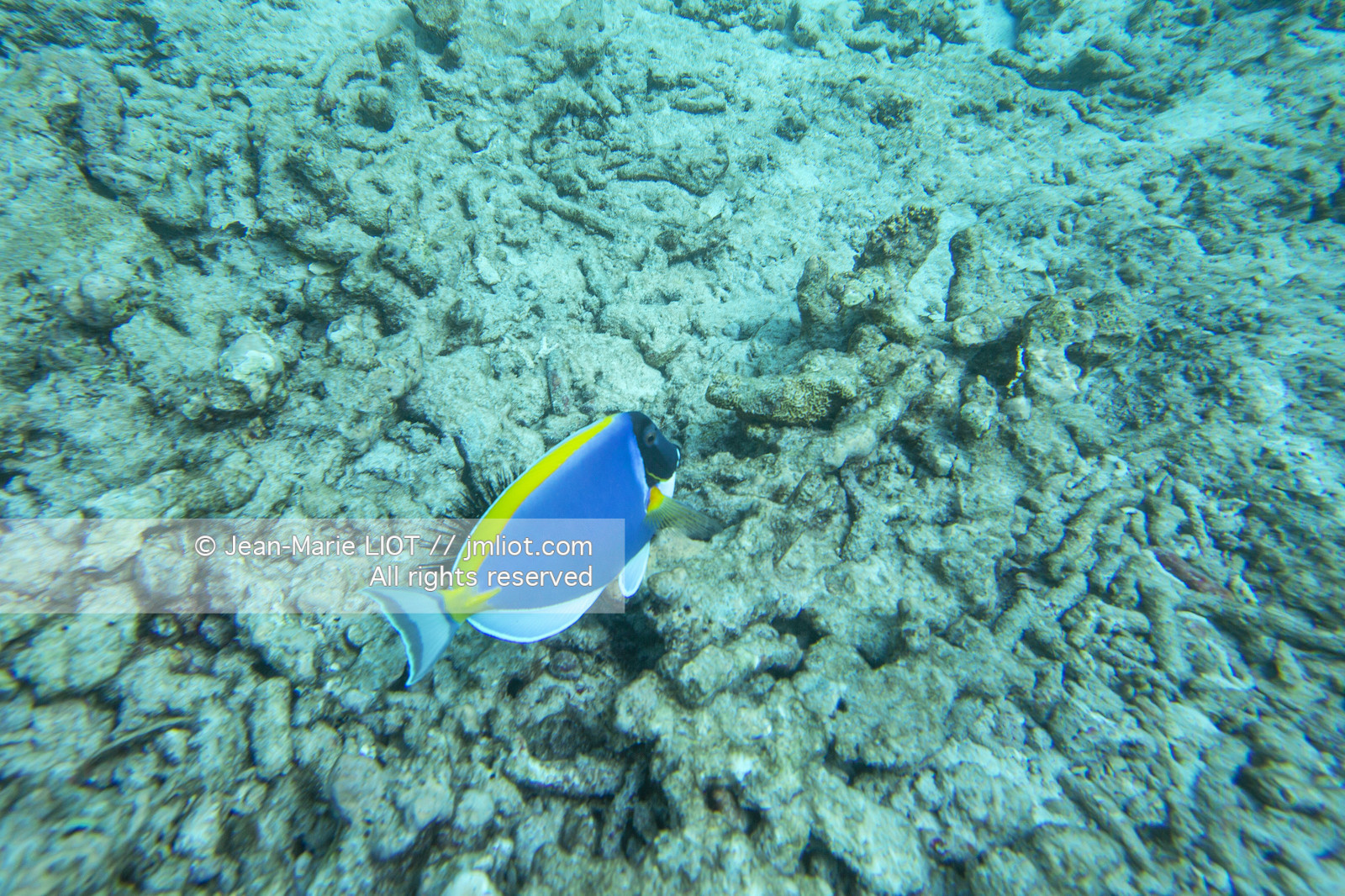 CROISIERE AUX ILES SEYCHELLES