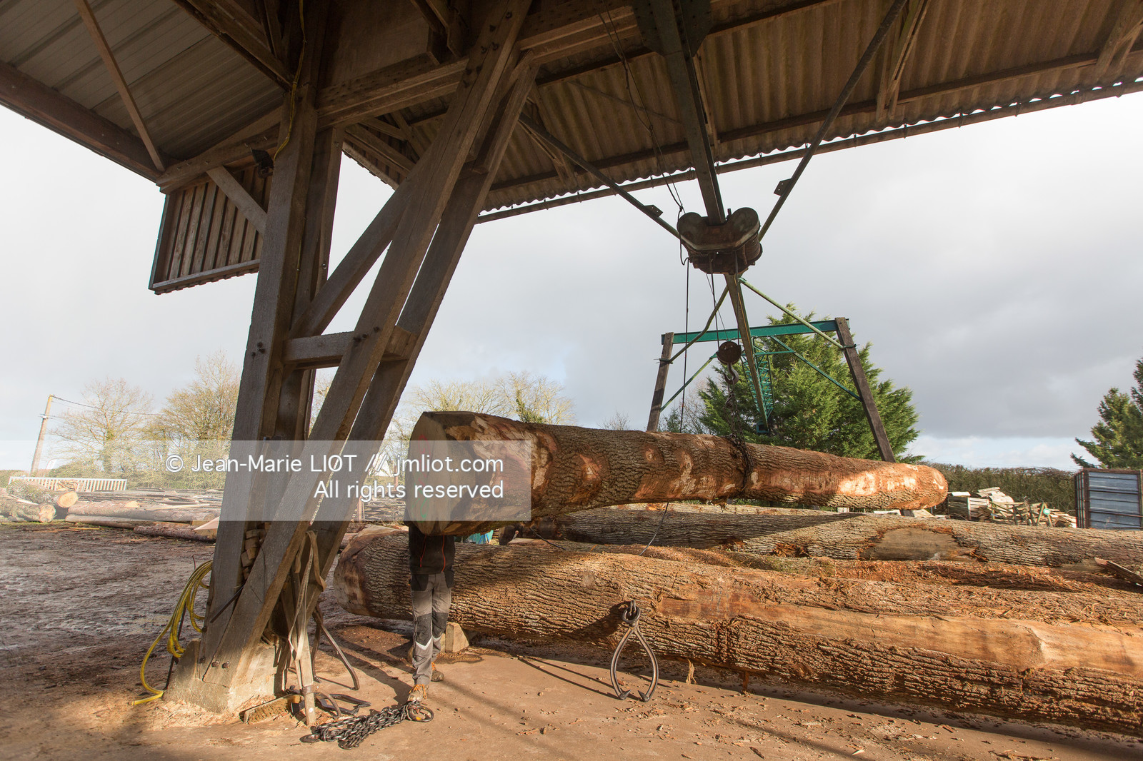 SCIERIE - DECOUPE DE BOIS